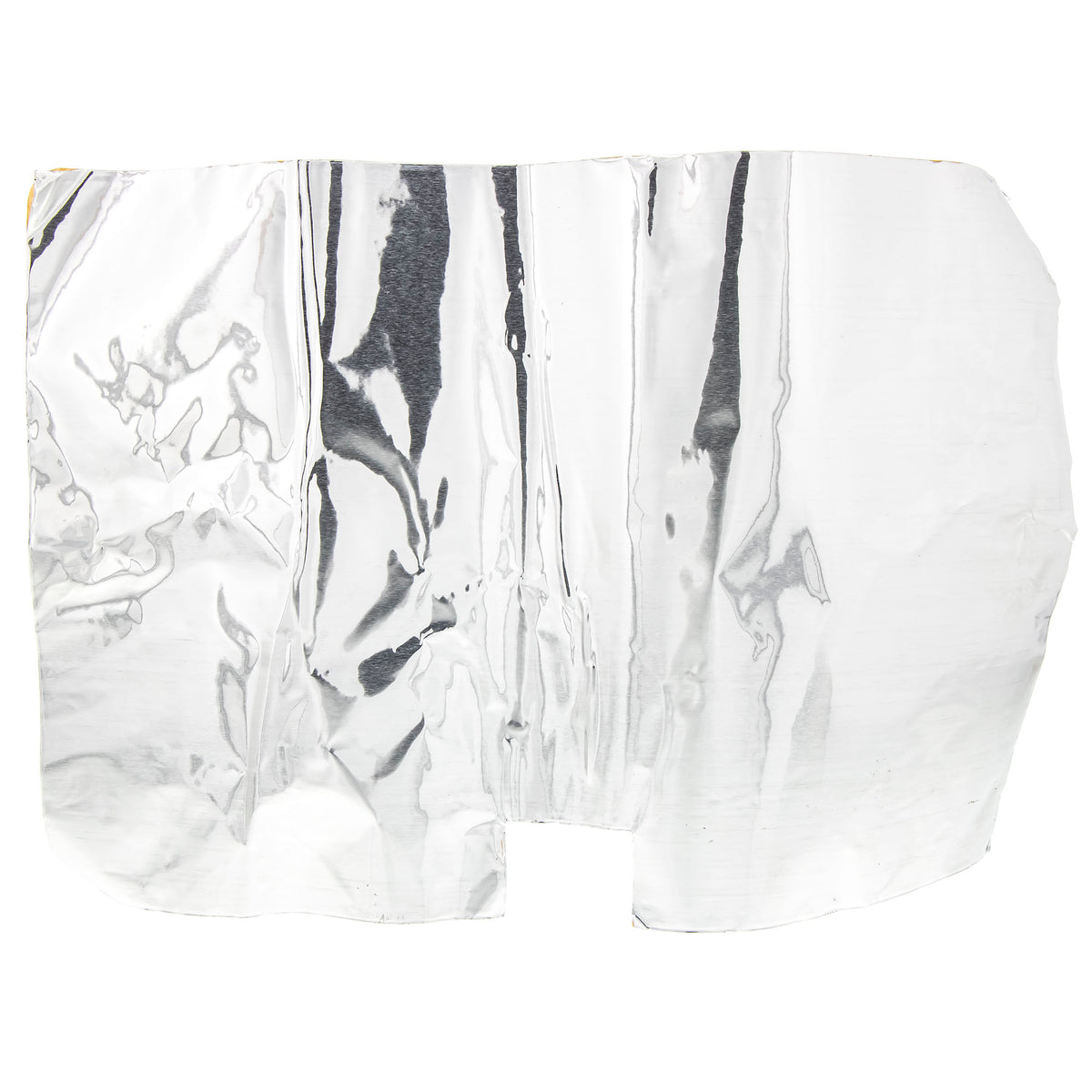 Polaris Heat Shield Foil 5813854