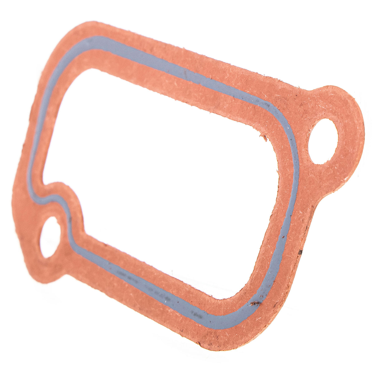 Polaris Water Inlet Cover Gasket 5813980