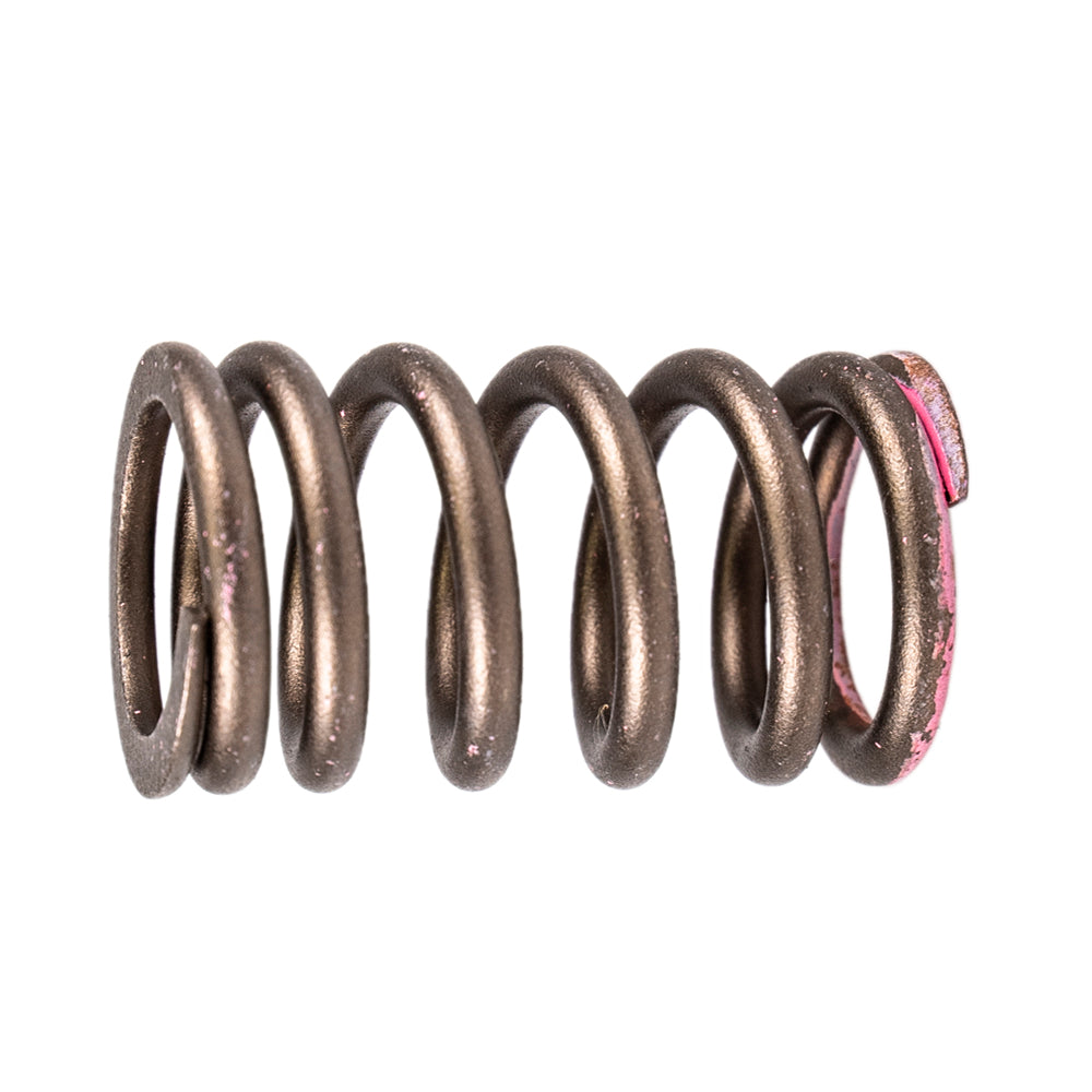 Polaris Valve Spring 7043948 alternate view
