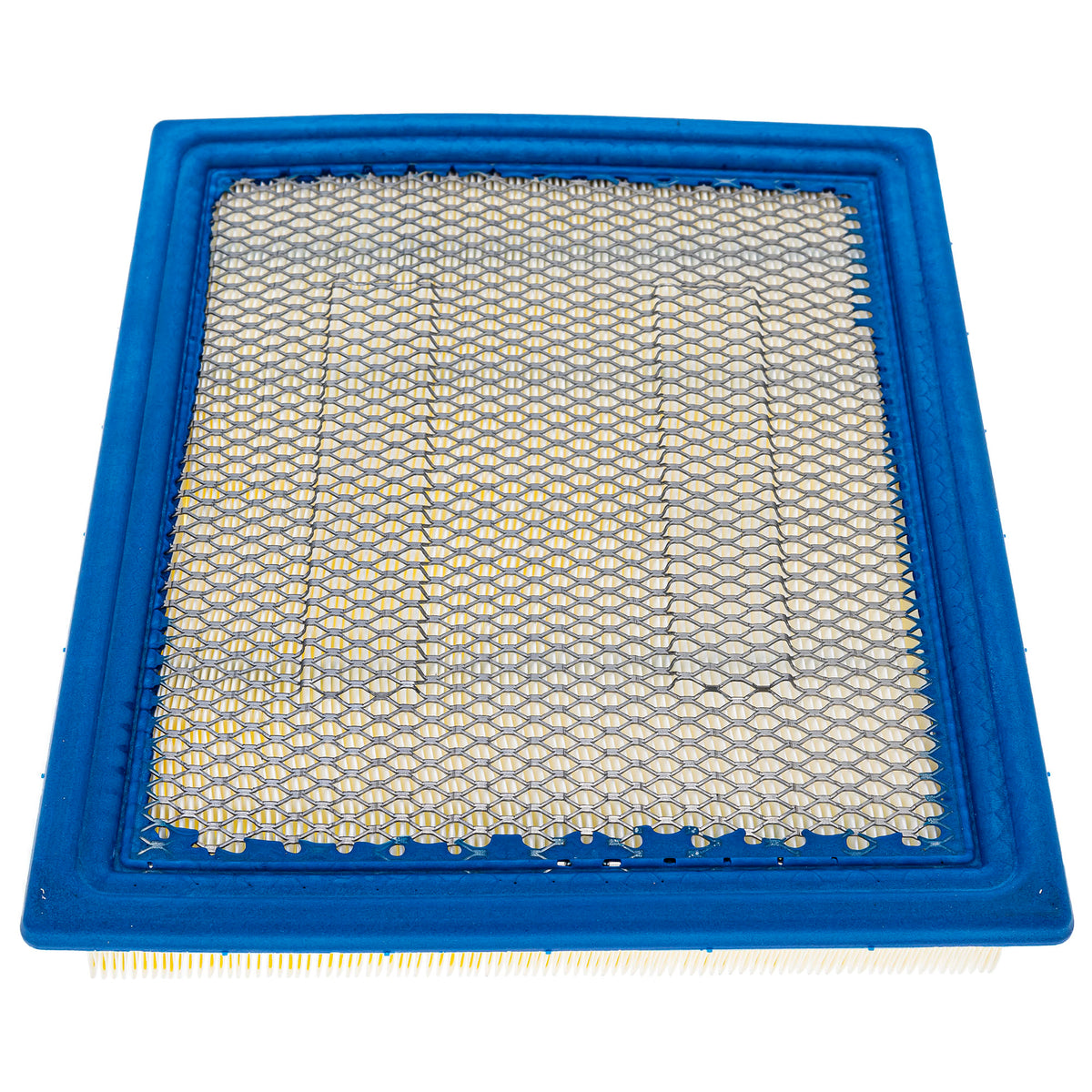 Polaris Air Intake Filter 7081889