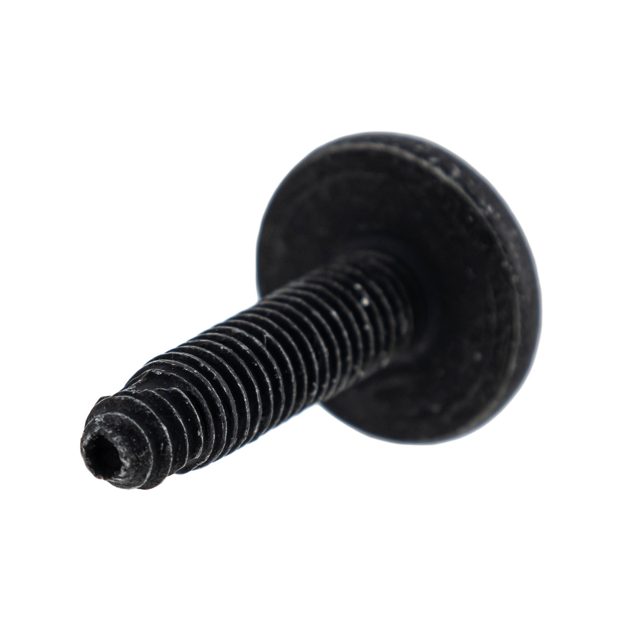 Polaris Body Screw 7519650