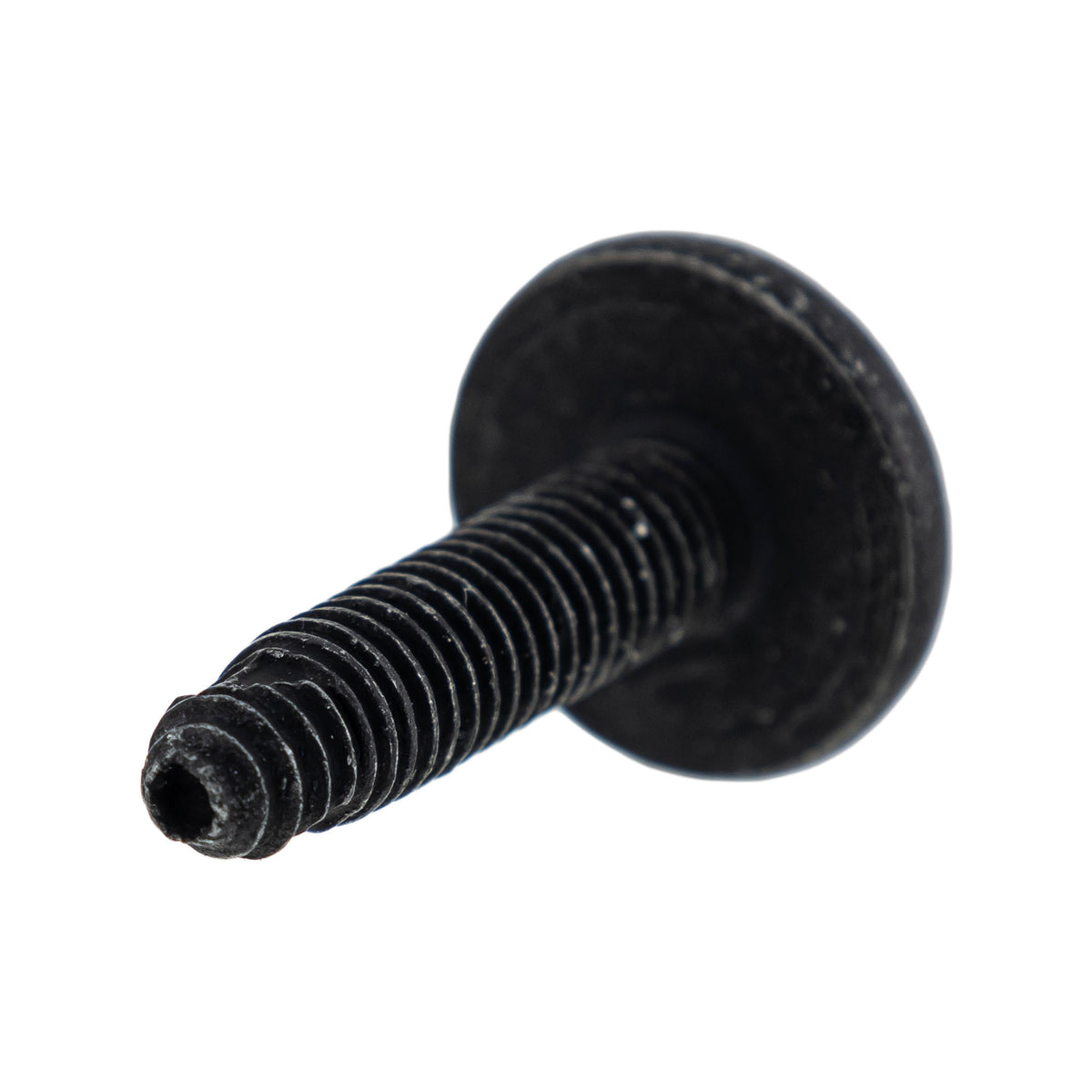 Polaris Body Screw 7519650 additional view