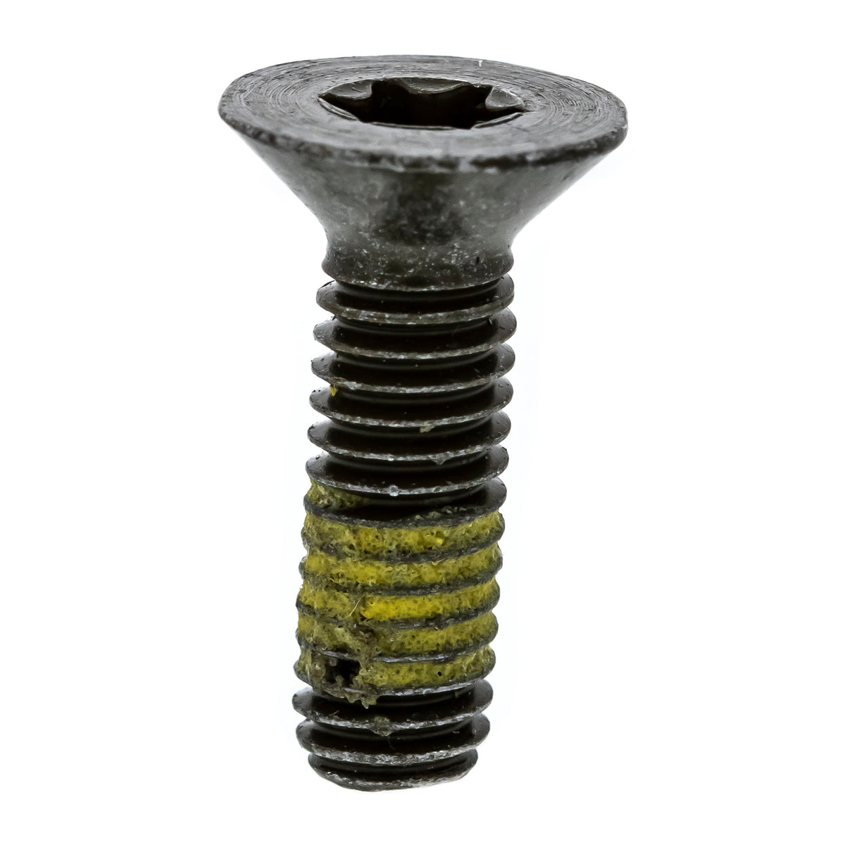 Polaris Screw M6 x 1.0 x 20 7520219