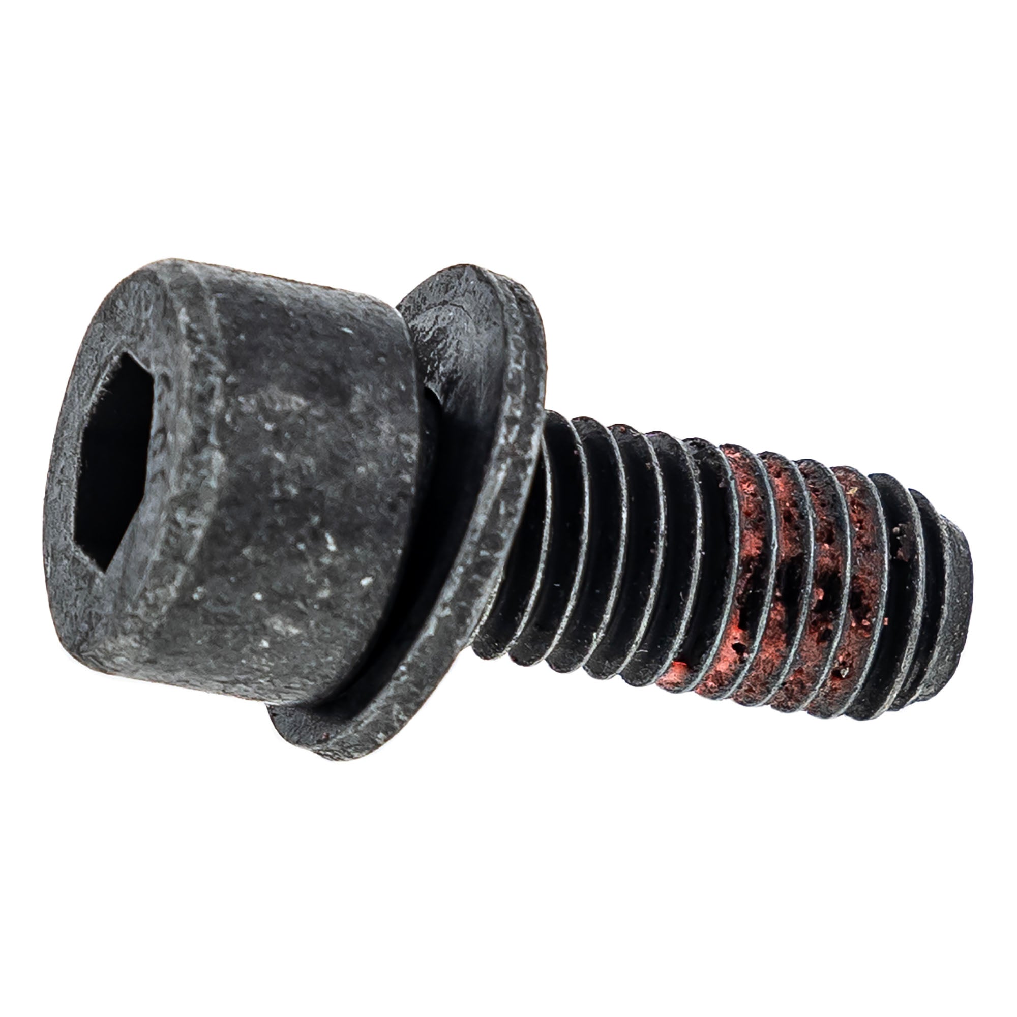 Polaris Screw 7520890