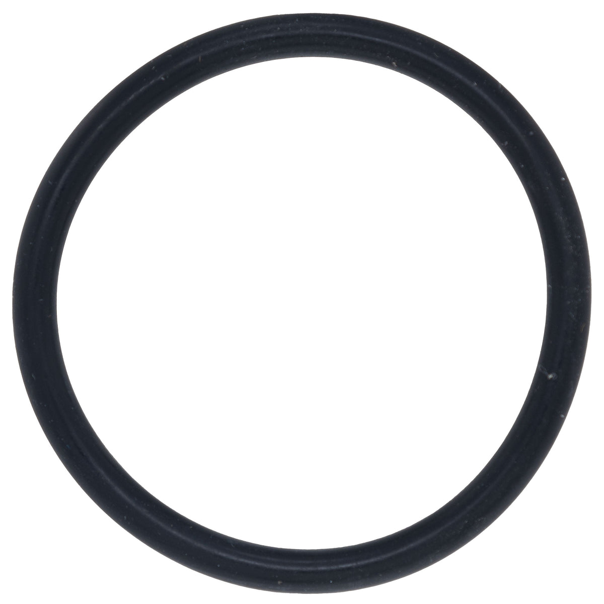 Polaris Body Loop O-Ring 1800030