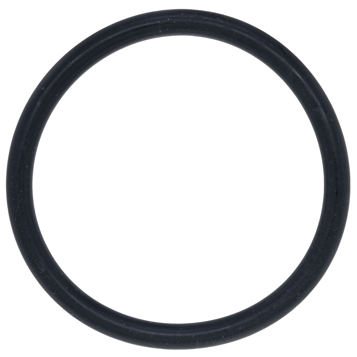Polaris Body Loop O-Ring 1800030 alternate view