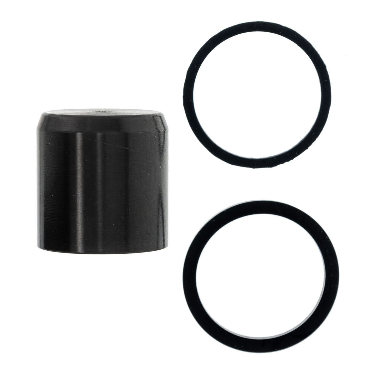 Polaris Piston Seal Kit 1930665