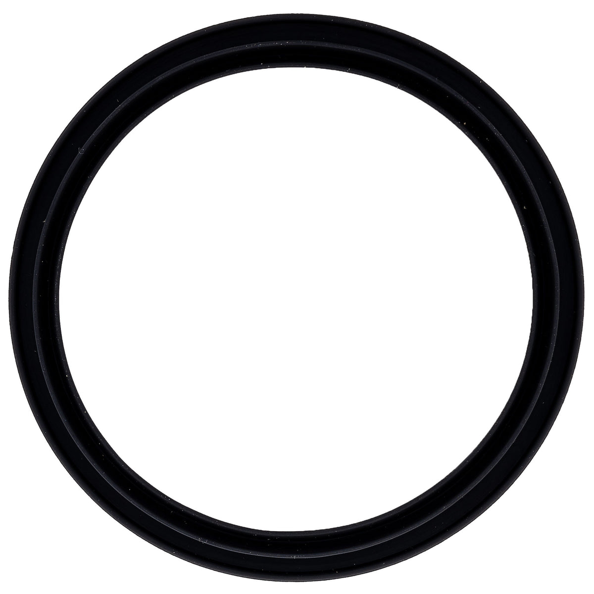 Polaris Fuel Filter/Gasket Kit 2211939 alternate view