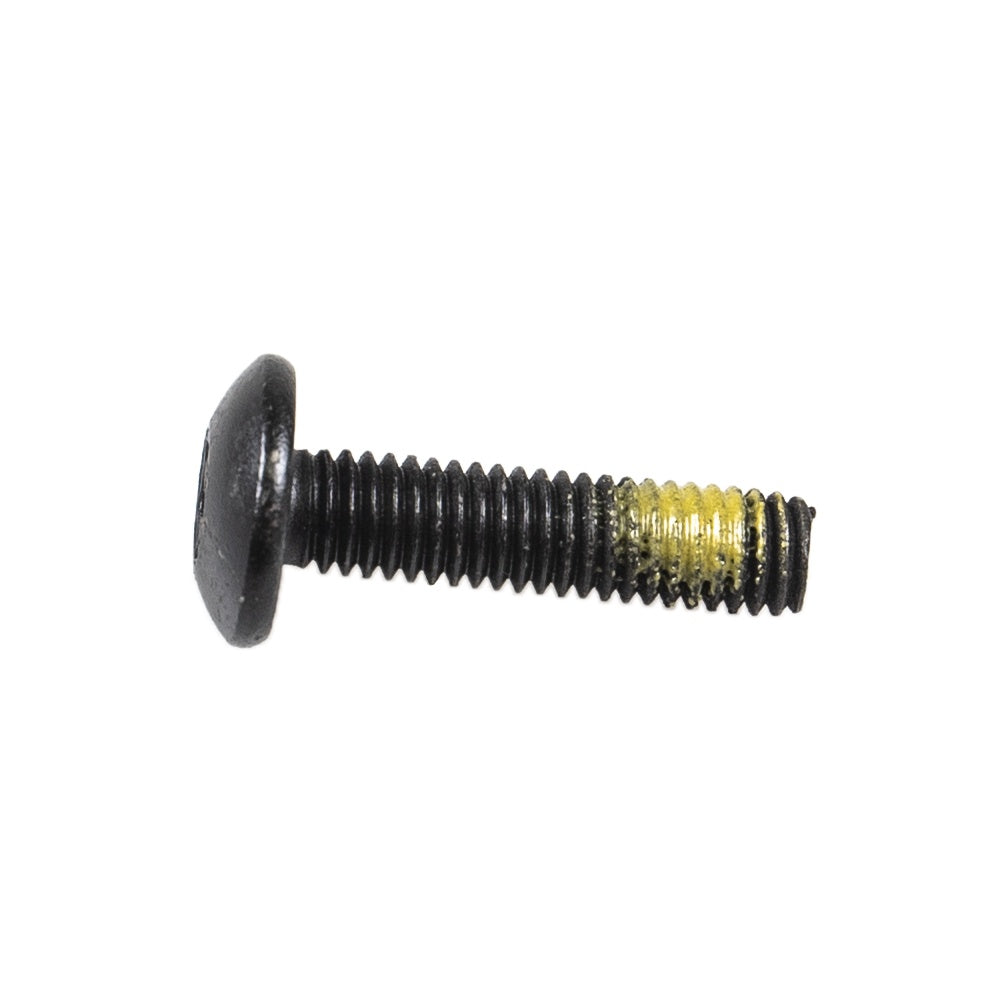 BRP Torx Truss Screw M6 X 25 250000630