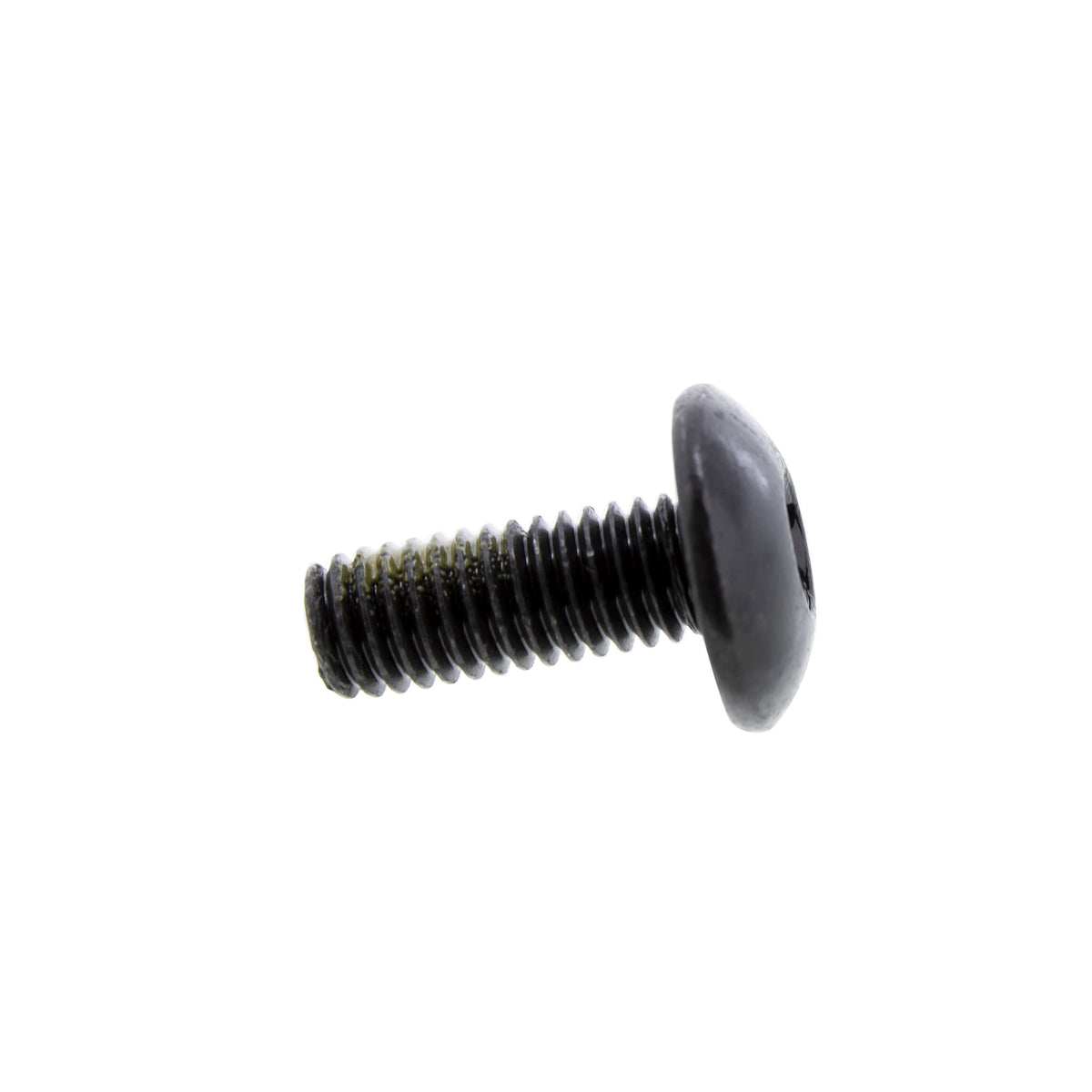 BRP Torx Truss Screw Nylon Patch 250000721