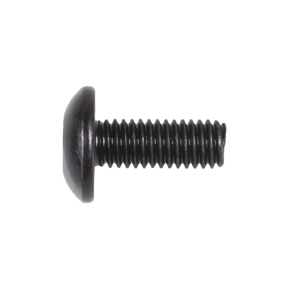 BRP TORX-TRUSS M/SM6 X 16 250000755