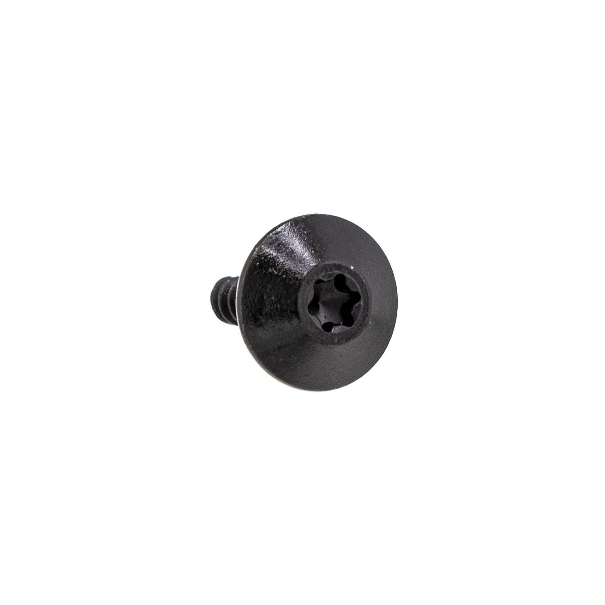 BRP Screw M4 x 16 250000889 additional view