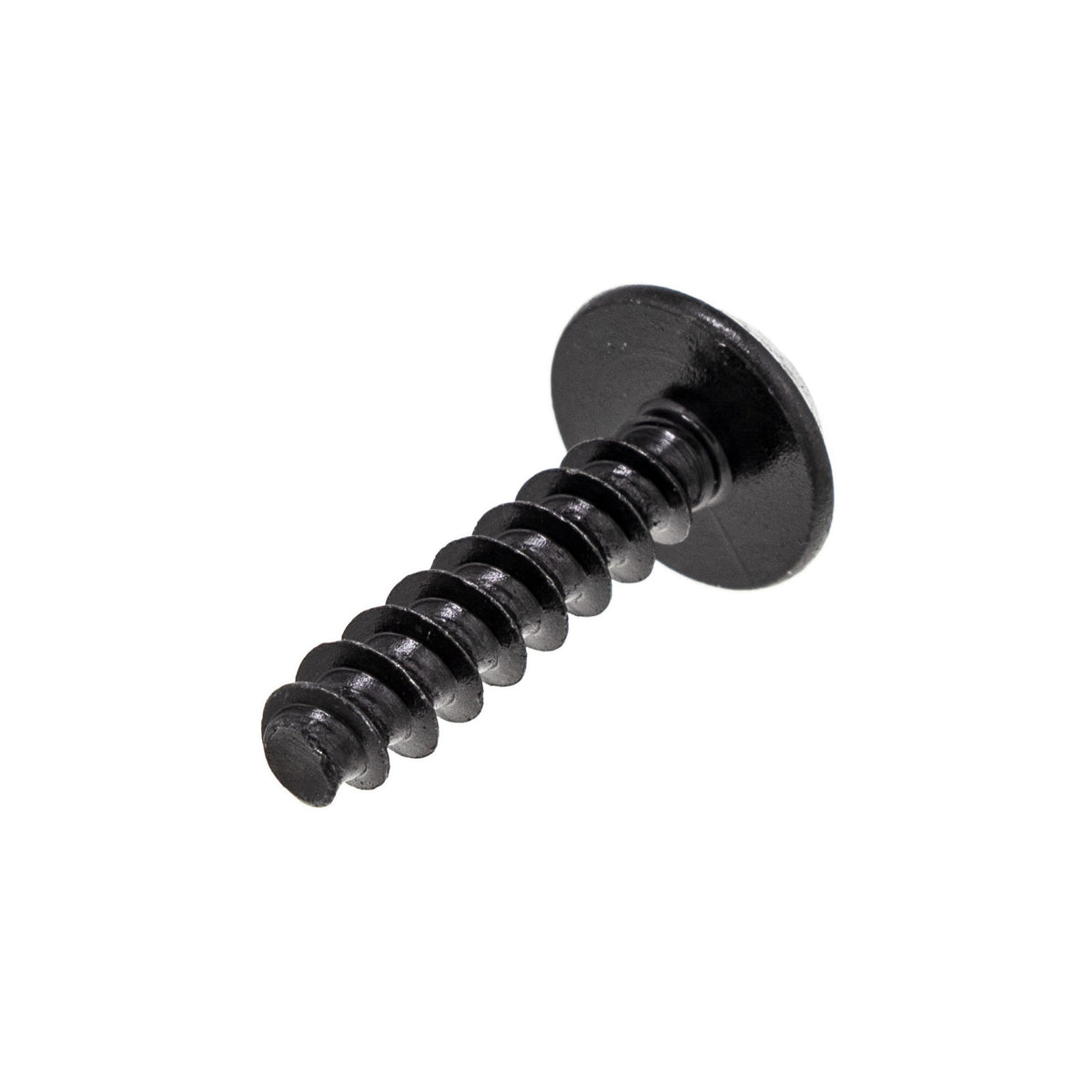 BRP Hex Screw Pt K60 x 25 250000980 alternate view