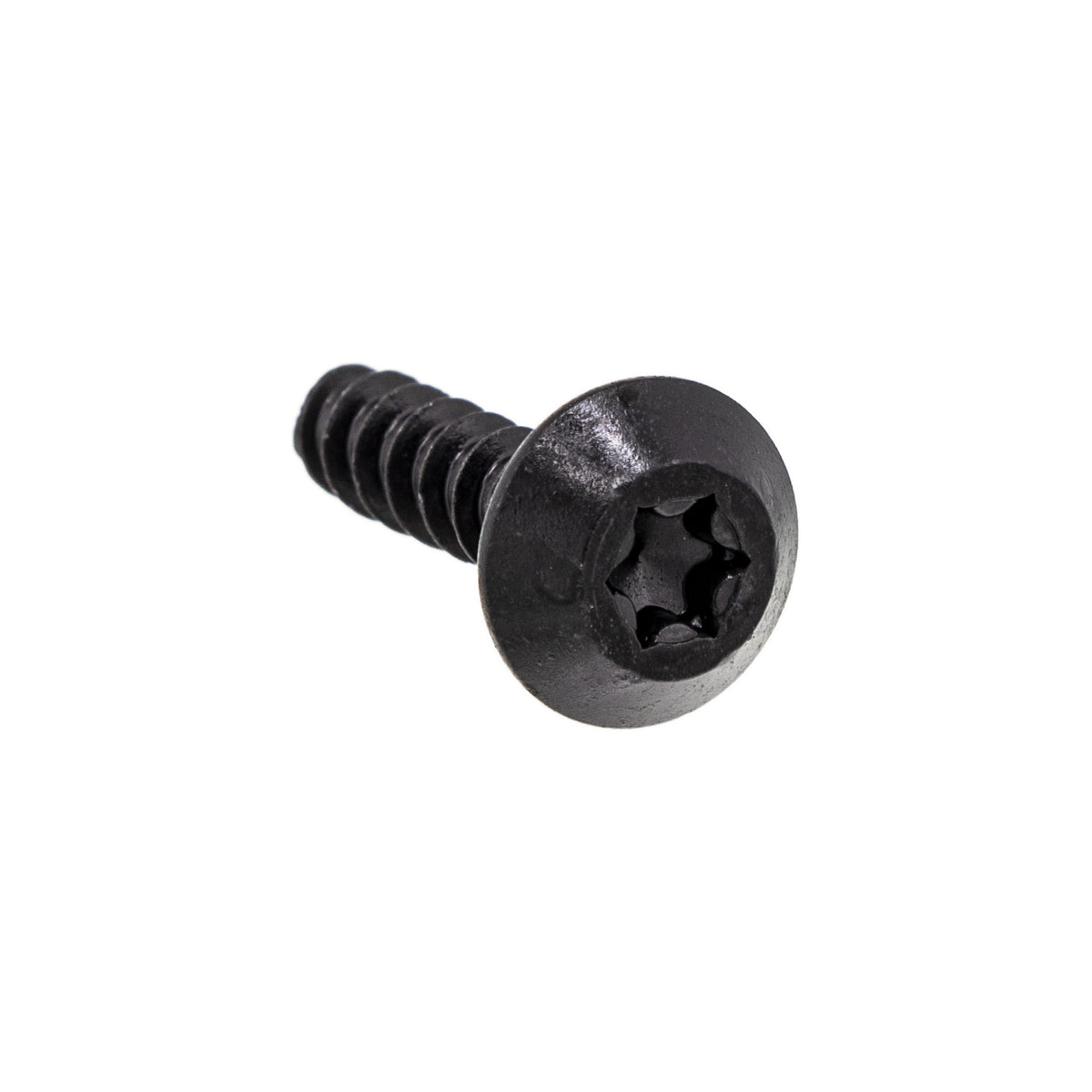 BRP Hex Screw Pt K60 x 25 250000980 additional view