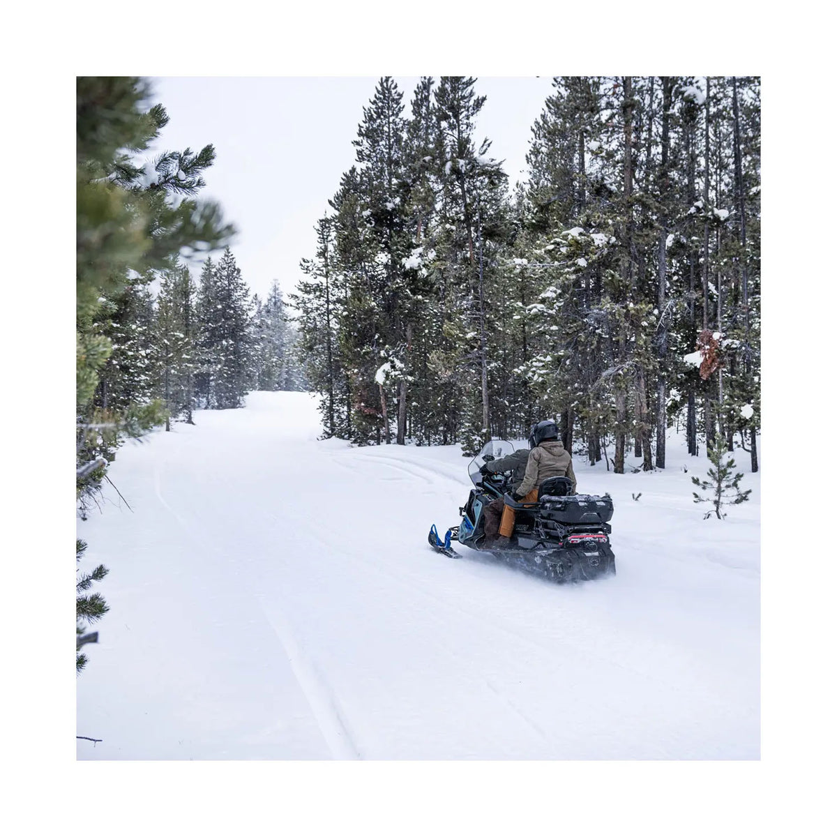 Polaris Matryx Titan Cargo Box 2890519
