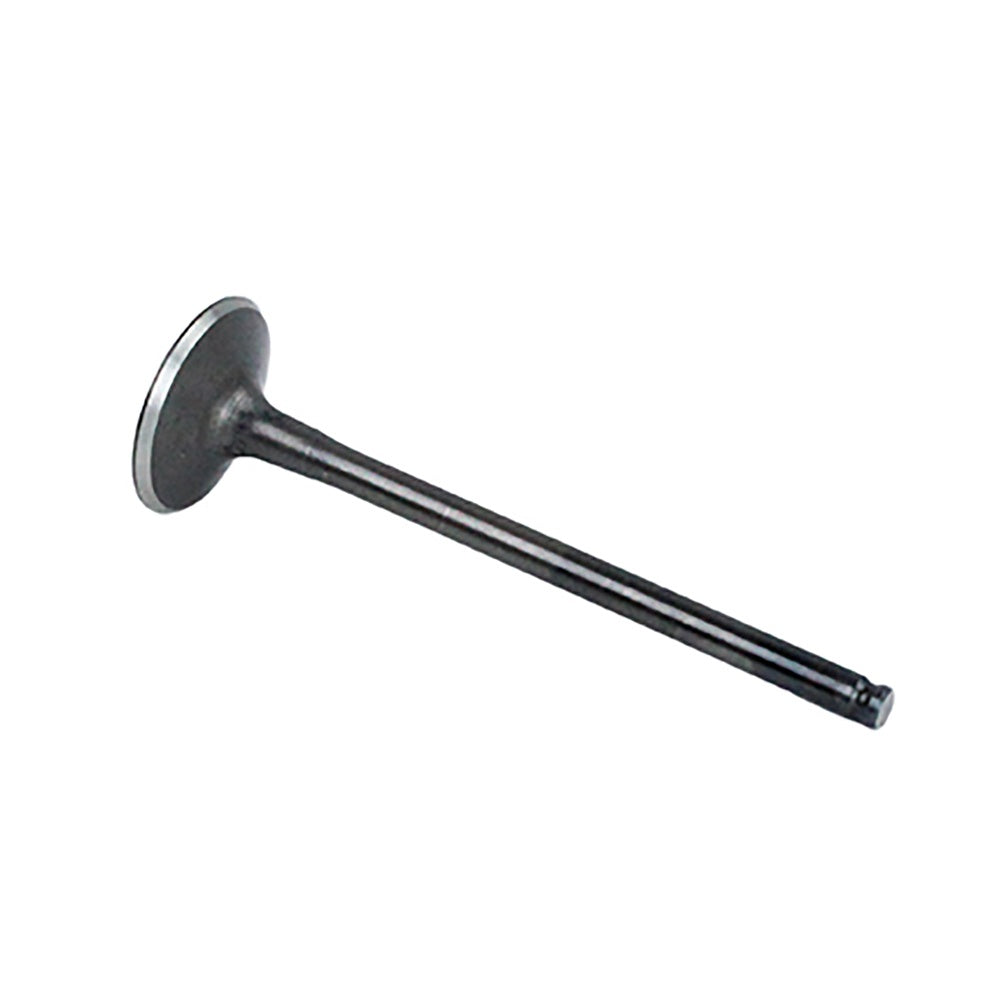 Polaris Exhaust Valve 3022415 alternate view