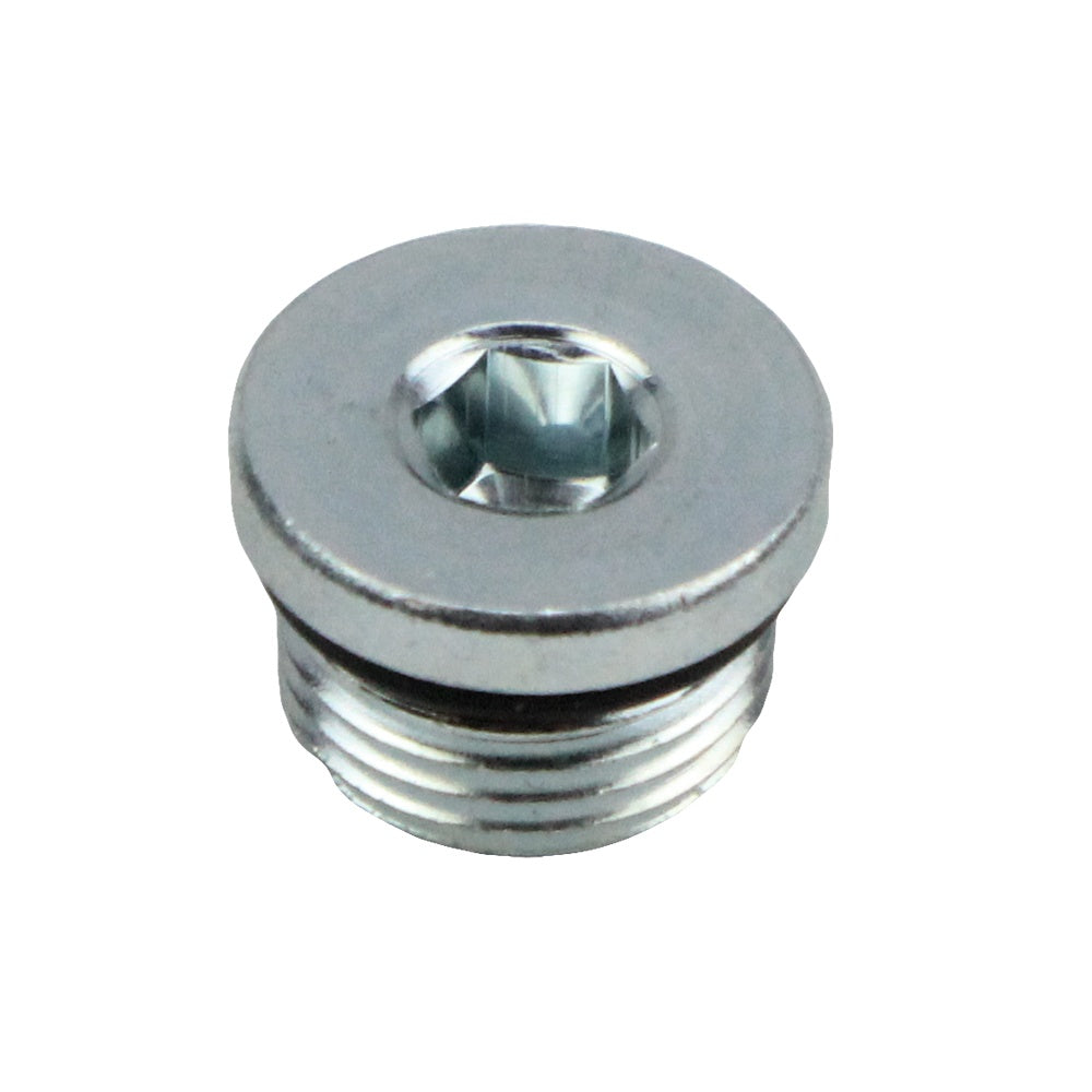 Polaris Gear Case Internal Hex Plug 3233794