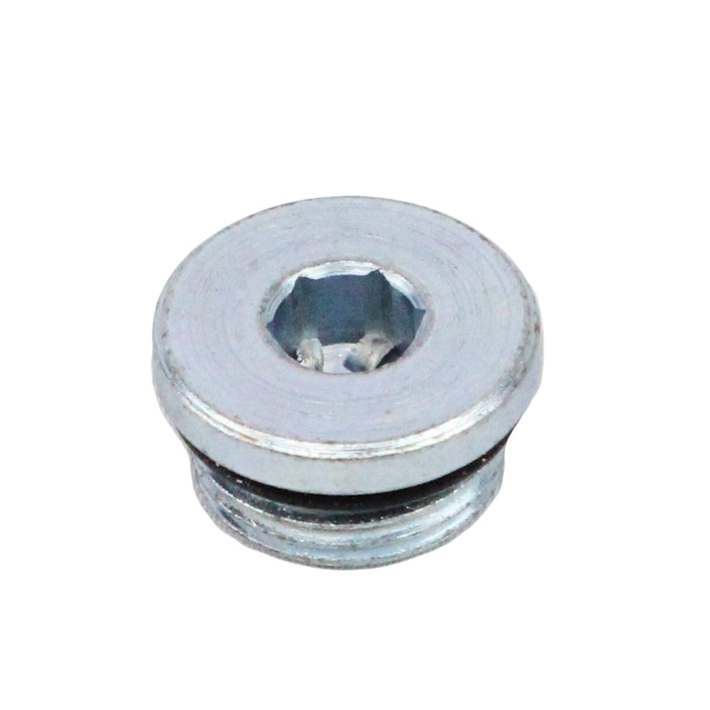 Polaris Hollow Oil Fill Plug 3233942