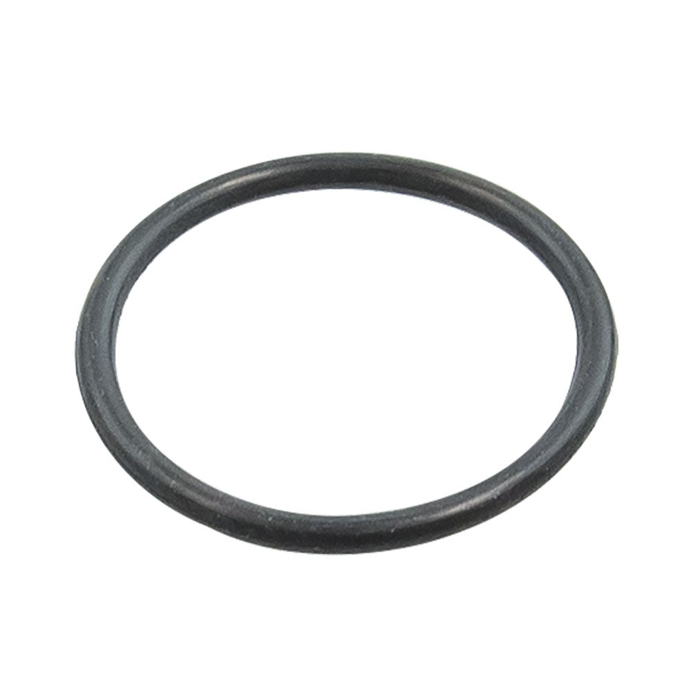 BRP Carburetor O-Ring 404161945