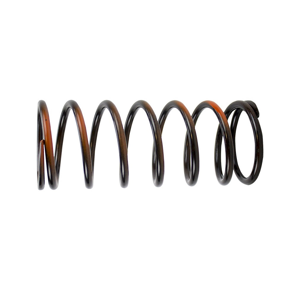BRP COMPRESSION SPRING 420238176