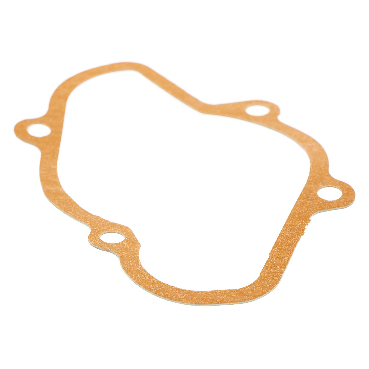 BRP Ski-Doo Water Pump Cover Gasket 420430051 600 T3 800R 50th 174in