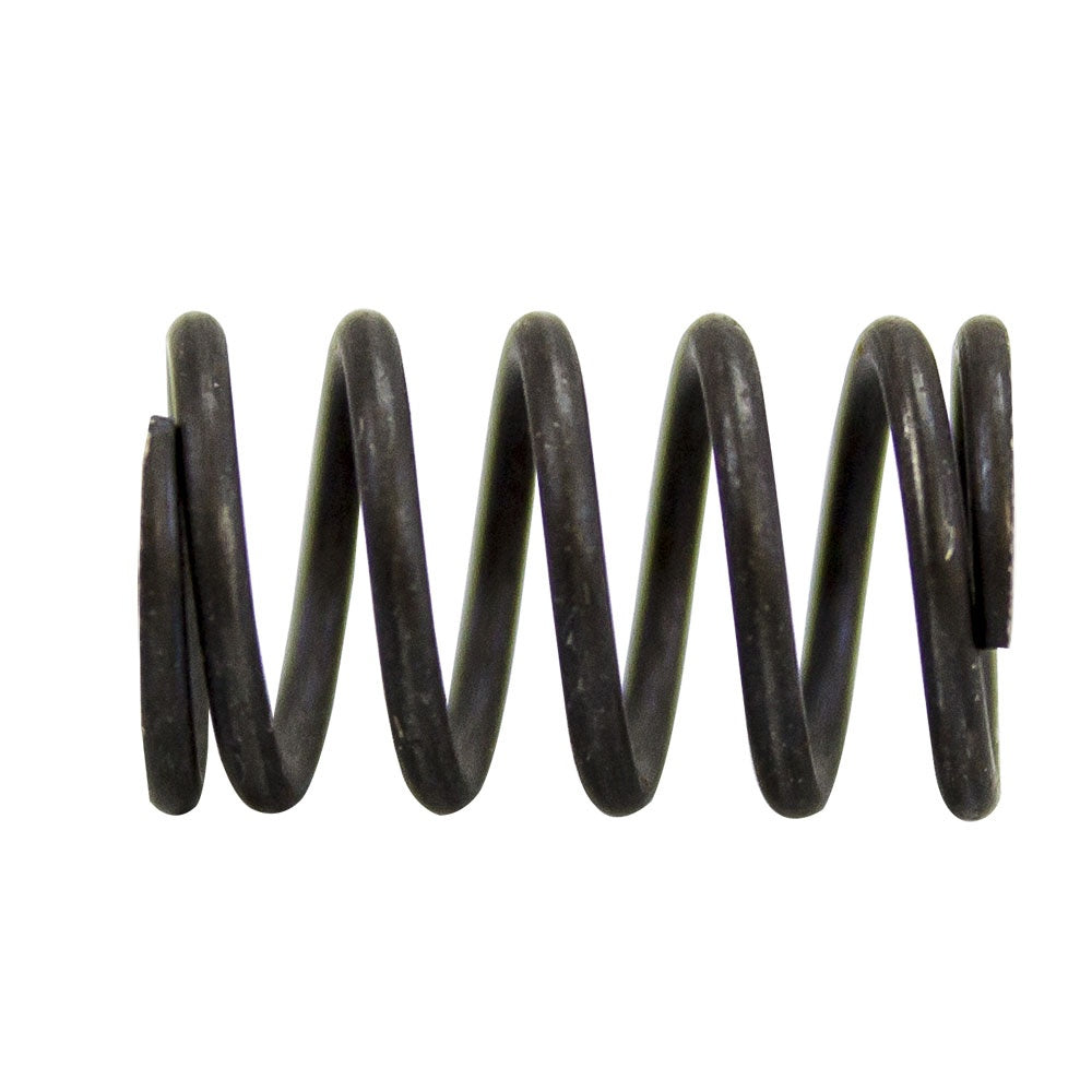 BRP SPRING 420938204