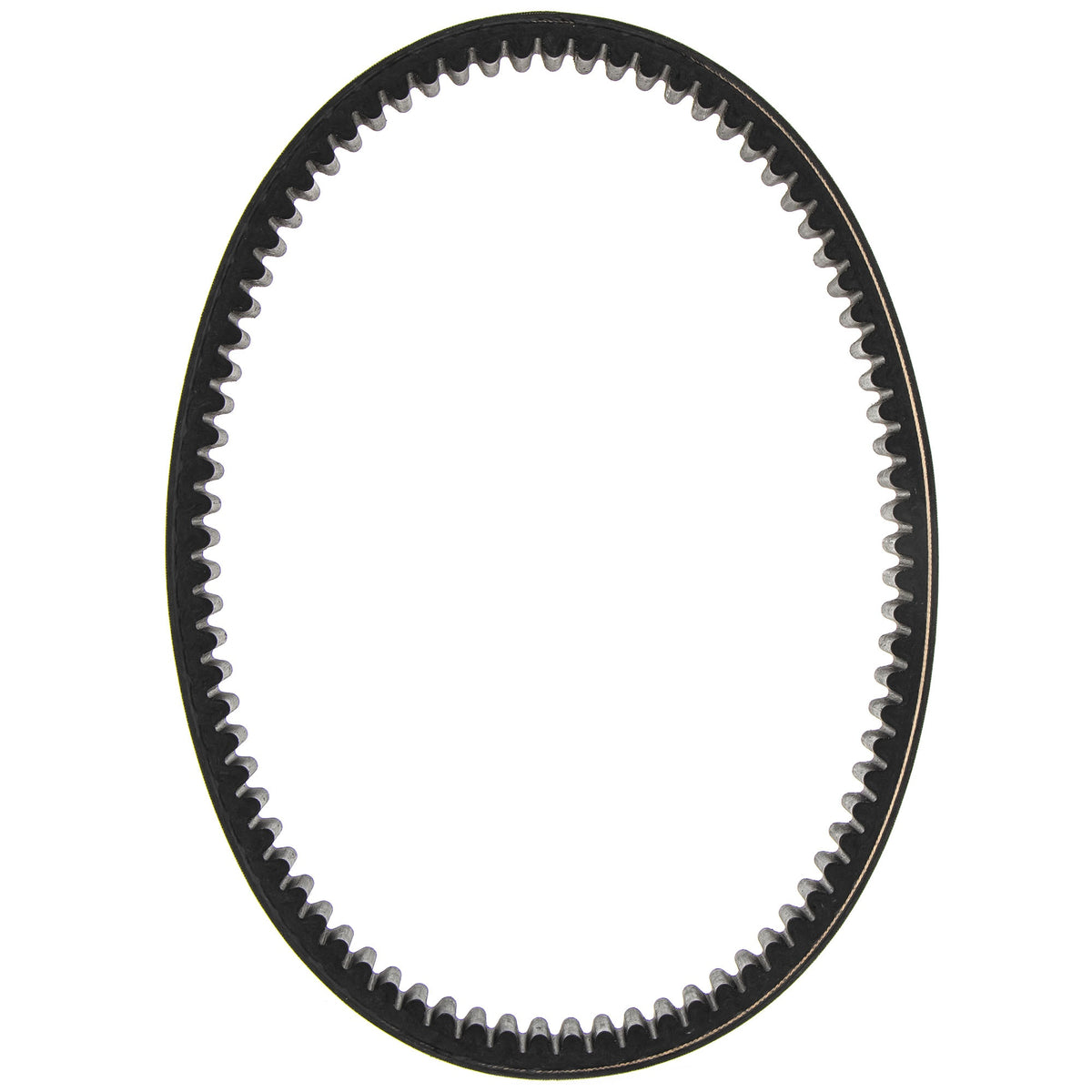 BRP Clutch Drive Belt 422280283 alternate view