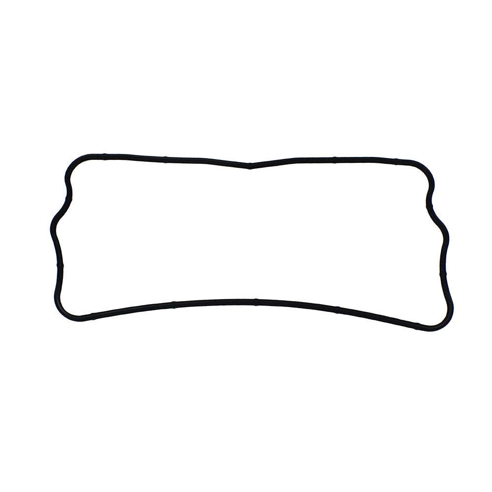 Polaris Cylinder Gland Seal 5413288