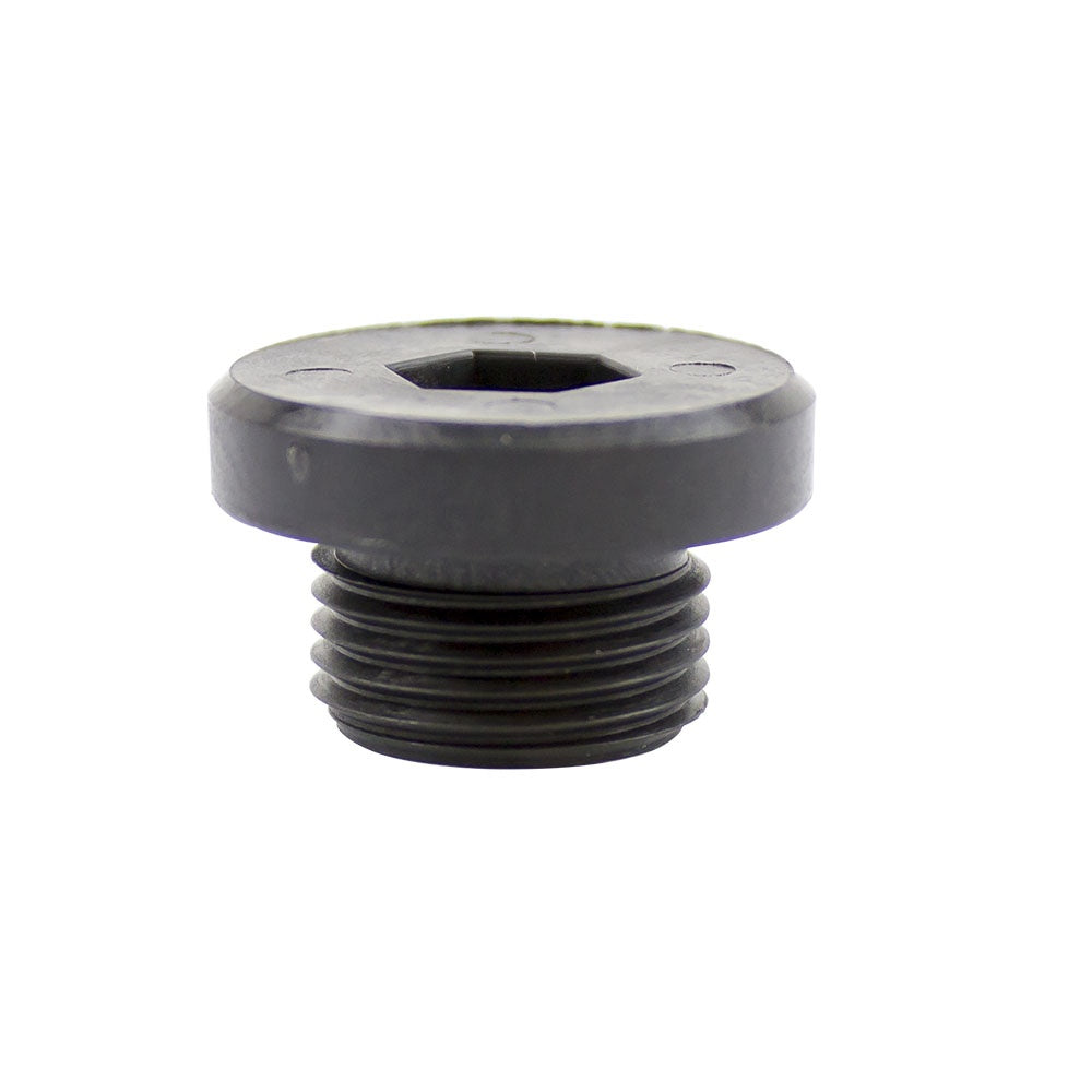 Polaris Nylon Timing Hole Plug 5433820