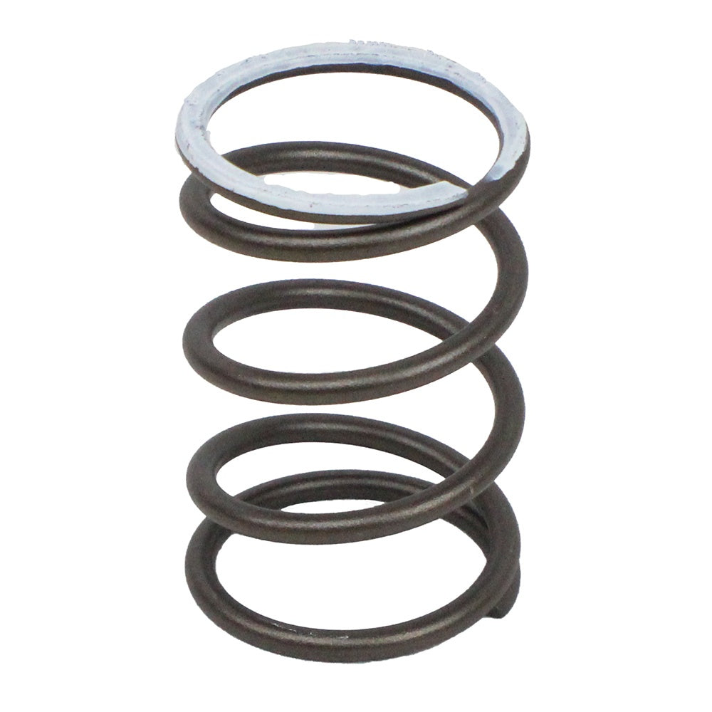 Polaris Drive Clutch Spring 7041132
