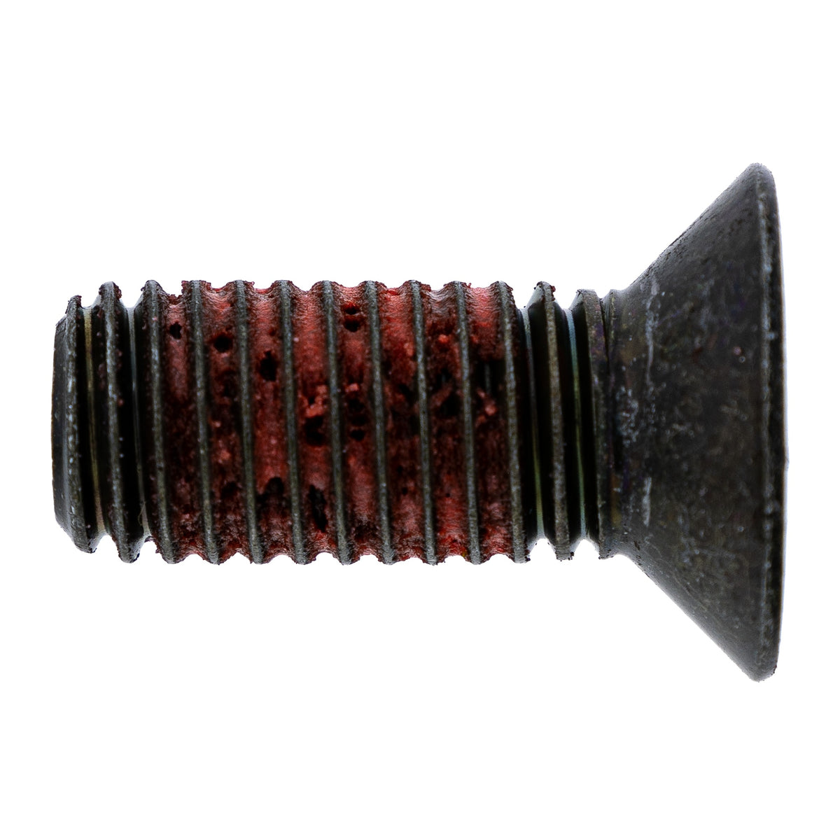 Polaris Screw 7518978 alternate view