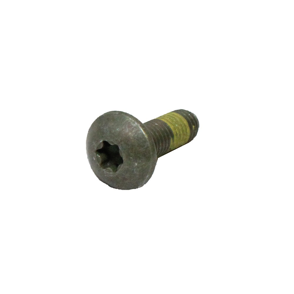 Polaris Screw M8 x 1.25 x 25 7519070