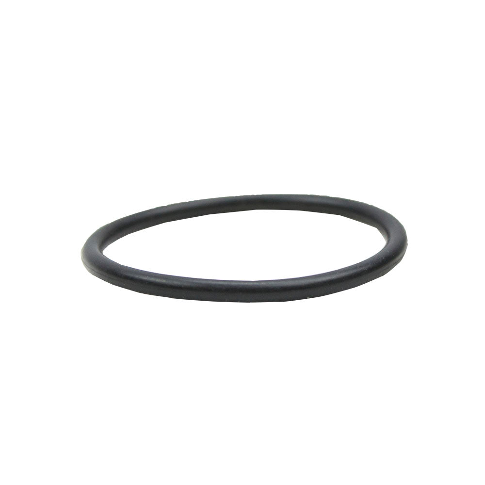 Genuine OEM Polaris Ring Switchback IQ 1700251