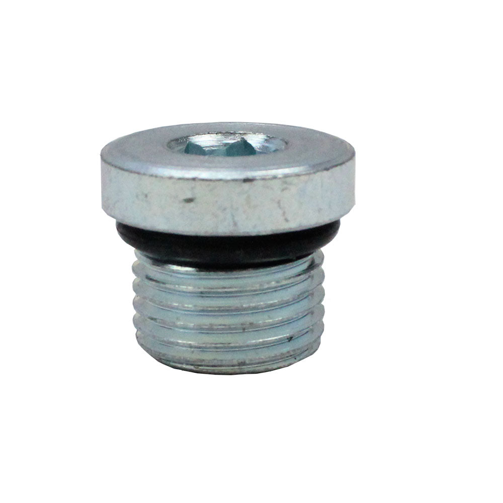 Polaris Gearcase Drain Plug Kit 2203738