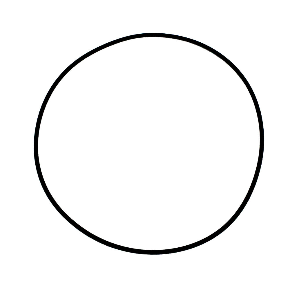 Polaris 5413319 O-Ring Indy Rush Switchback 800 850 600 XC SP S 2008-2023