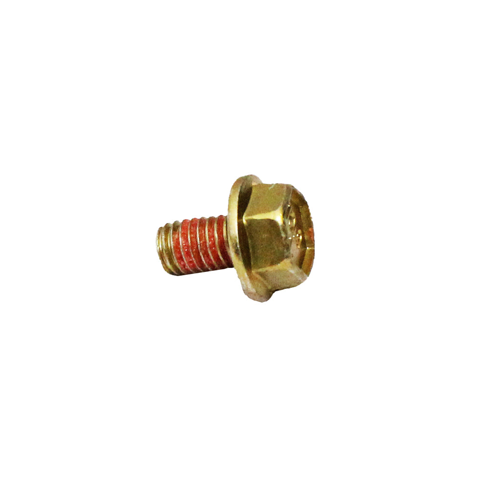 Polaris Hex Flange Screw 6 mm X 1.0 mm 7519164