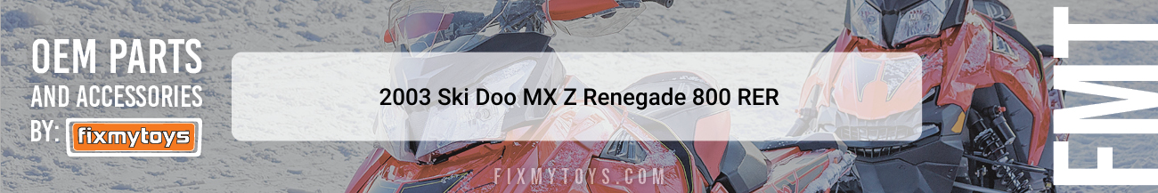2003 Ski-Doo MX Z Renegade 800 RER
