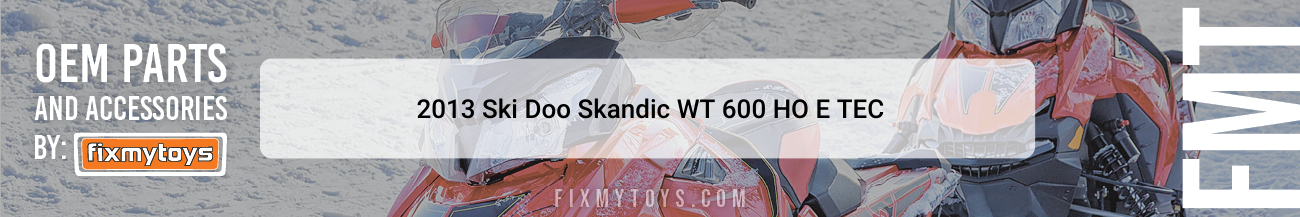 2013 Ski-Doo Skandic WT 600 HO E-TEC