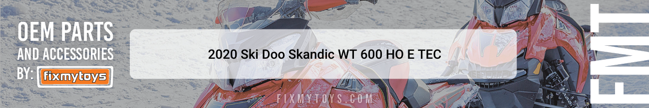 2020 Ski-Doo Skandic WT 600 HO E-TEC