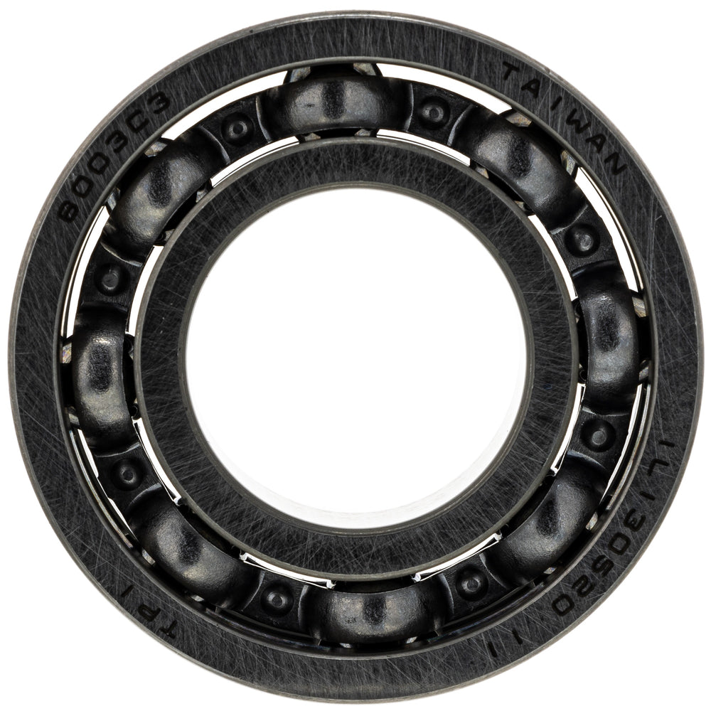 Polaris Bearing 0450199