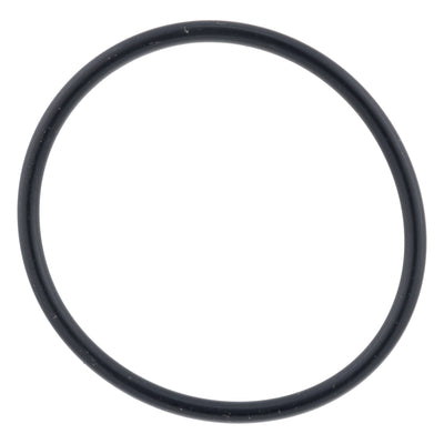 Polaris Engine Coolant Rail O-Ring 0451552