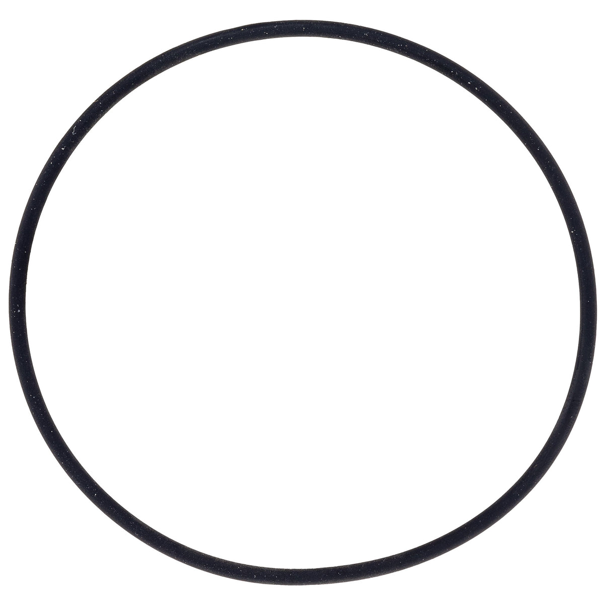 Polaris Water Pump O-Ring 0451875
