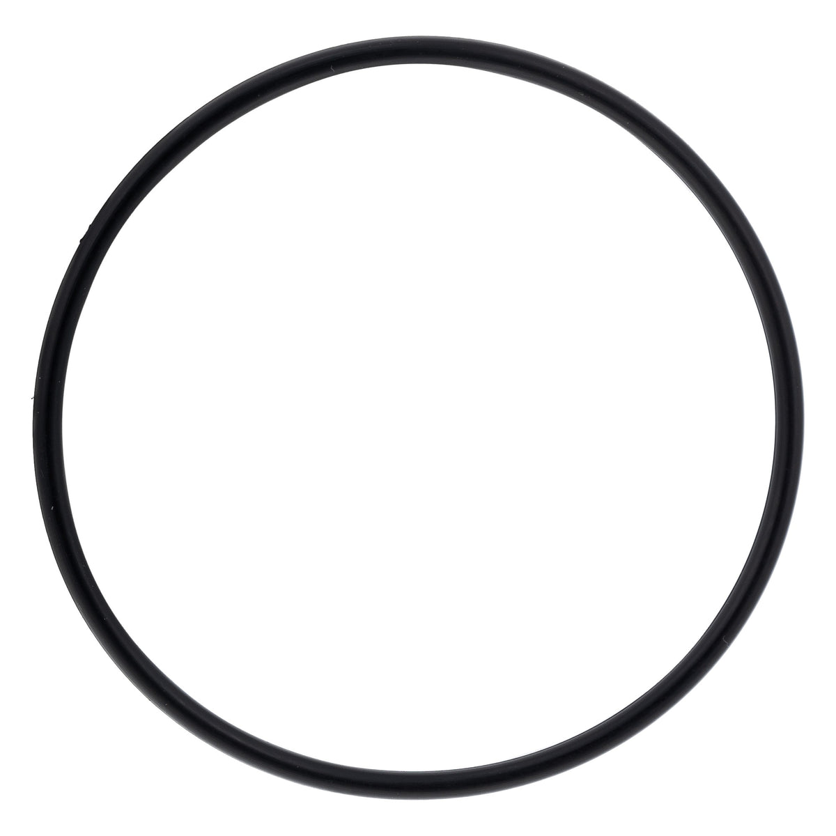Polaris Swing Arm O-Ring 0452613