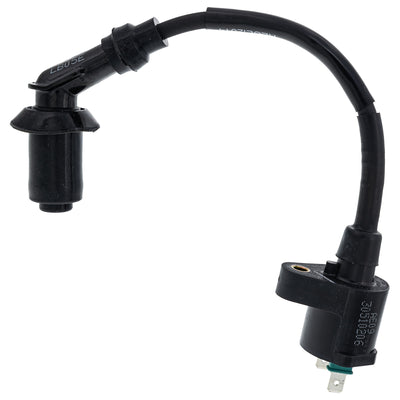 Polaris Ignition Coil Assembly 0453894