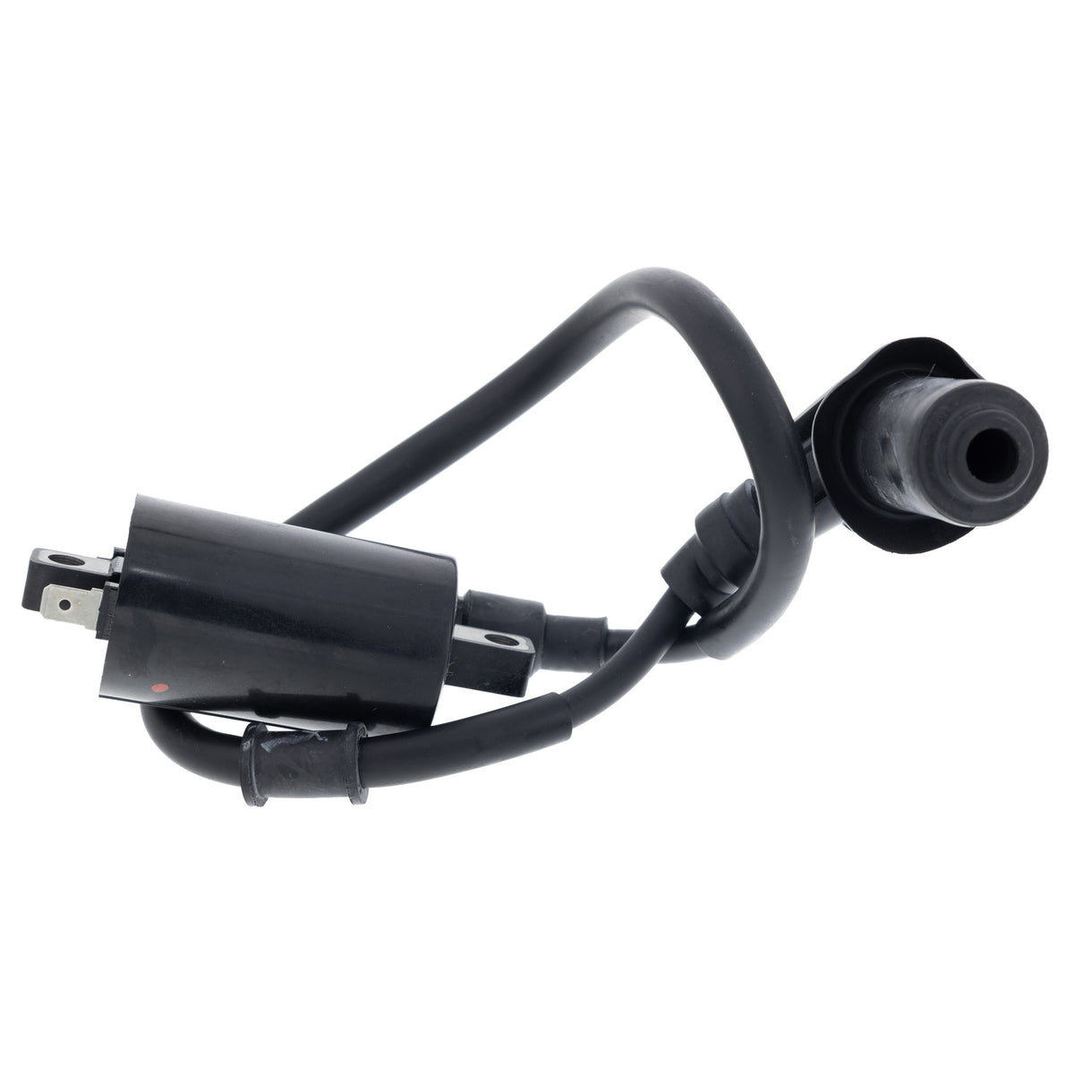 Polaris Ignition Coil Assembly 0455029 alternate view