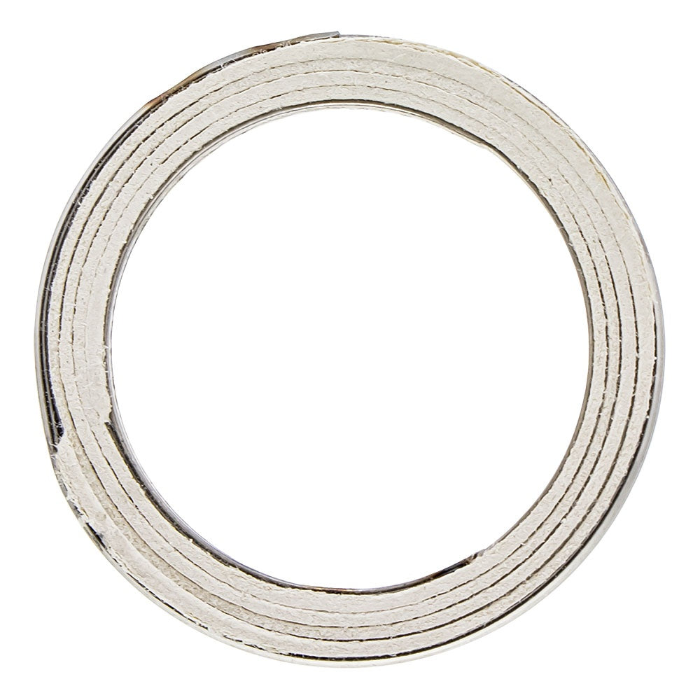 Polaris Exhaust Pipe Gasket 0455371