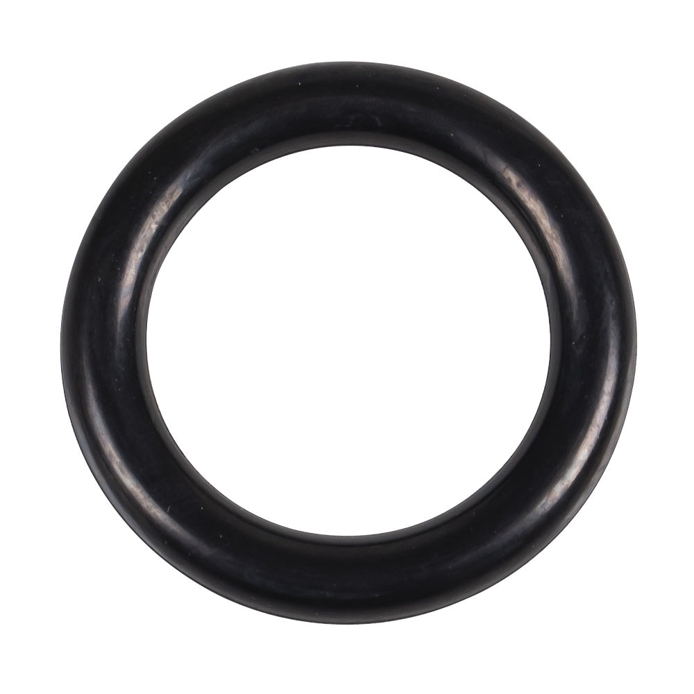 Arctic Cat Wind Shield O-Ring 0616-032