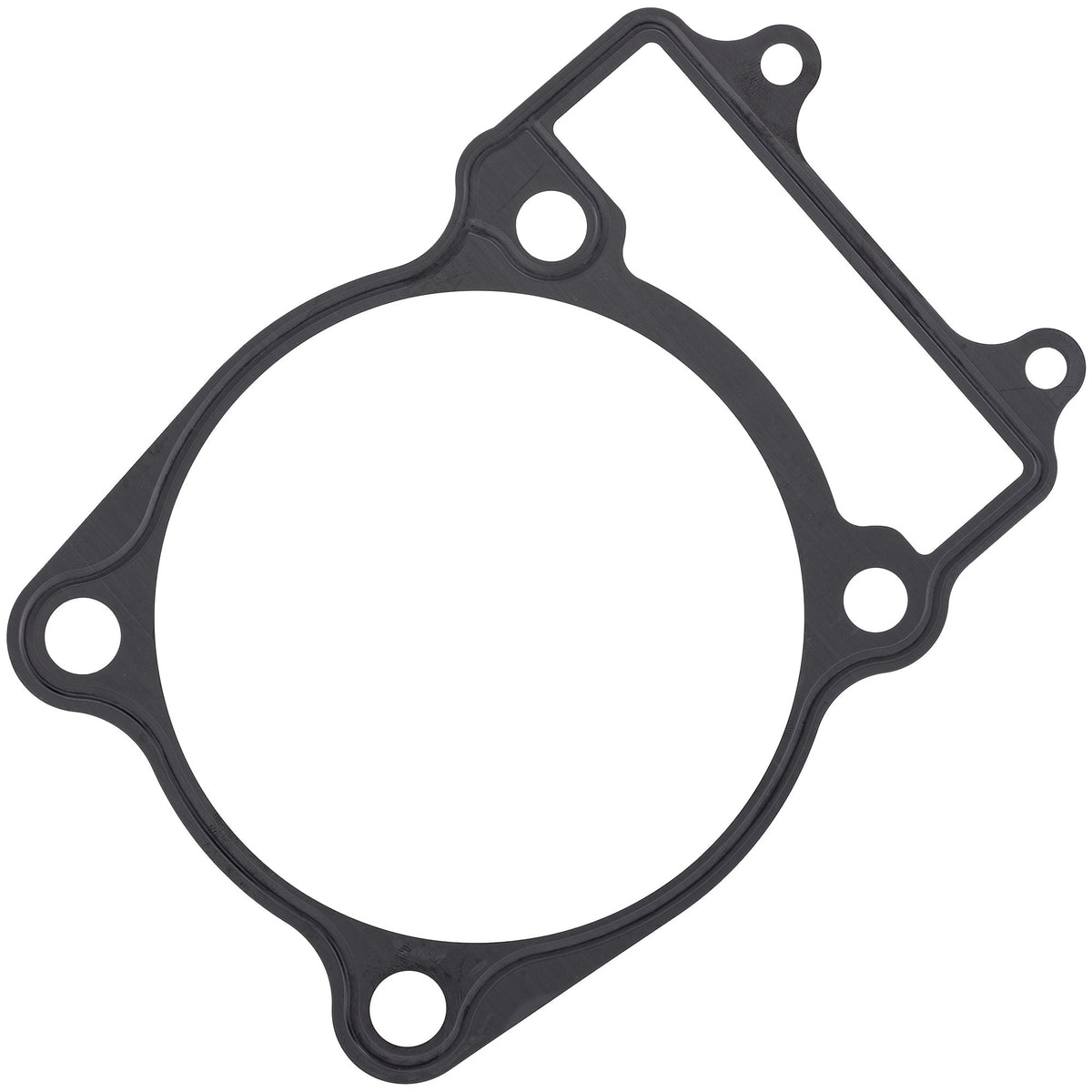 Genuine OEM Arctic Cat Gasket