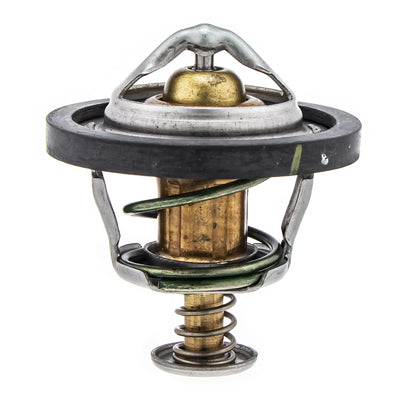 Arctic Cat Thermostat 0913-034