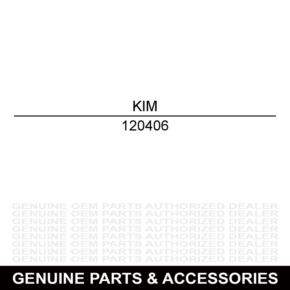 CKX 210 Winter Isolated Goggle Lens 120406